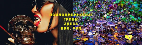 таблы Алзамай