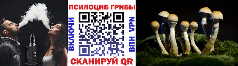 купить цена Орлов Галлюциногенные грибы MAGIC MUSHROOMS